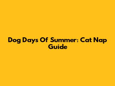 Dog Days Of Summer: Cat Nap Guide