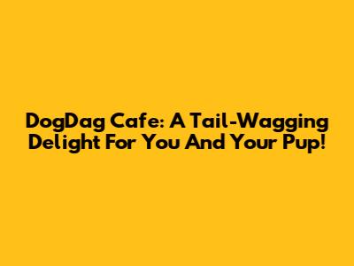 DogDag Cafe: A Tail-Wagging Delight For You And Your Pup!