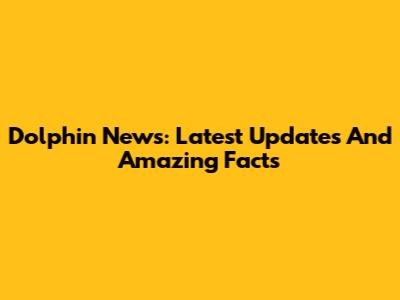 Dolphin News: Latest Updates And Amazing Facts