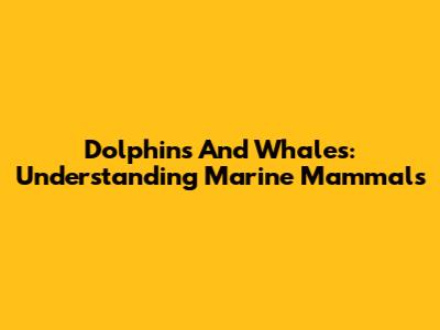 Dolphins And Whales: Understanding Marine Mammals