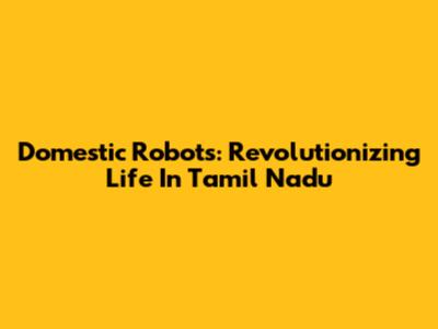 Domestic Robots: Revolutionizing Life In Tamil Nadu