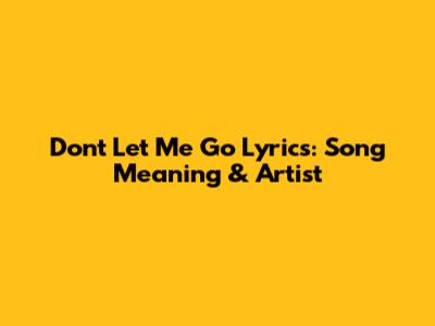Don't Let Me Go Lyrics: Song Meaning & Artist