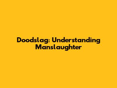Doodslag: Understanding Manslaughter