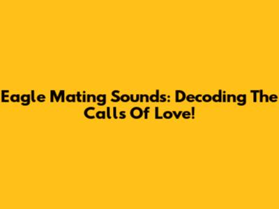 Eagle Mating Sounds: Decoding The Calls Of Love!