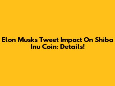 Elon Musk's Tweet Impact On Shiba Inu Coin: Details!
