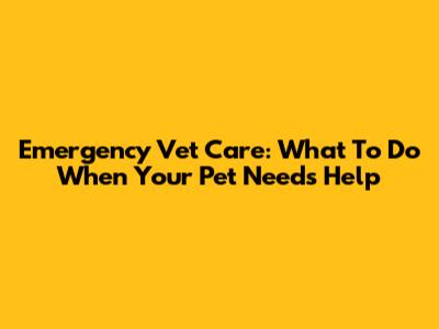 Emergency Vet Care: What To Do When Your Pet Needs Help