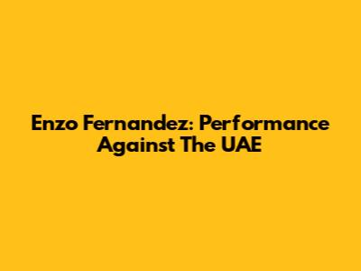 Enzo Fernandez: Performance Against The UAE