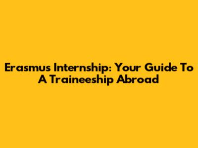 Erasmus Internship: Your Guide To A Traineeship Abroad