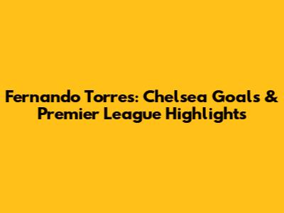 Fernando Torres: Chelsea Goals & Premier League Highlights