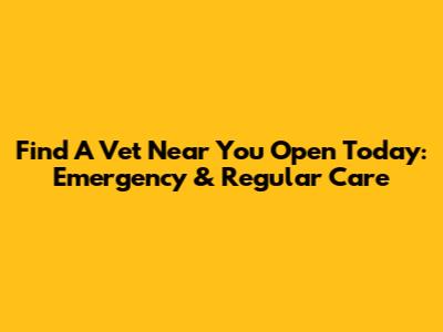 Find A Vet Near You Open Today: Emergency & Regular Care