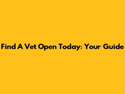 Find A Vet Open Today: Your Guide