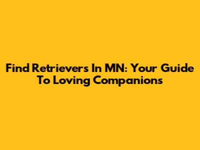 Find Retrievers In MN: Your Guide To Loving Companions