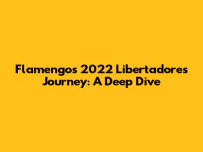 Flamengo's 2022 Libertadores Journey: A Deep Dive