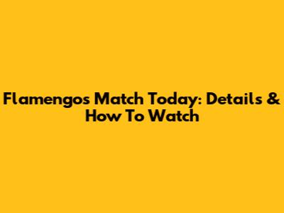 Flamengo's Match Today: Details & How To Watch