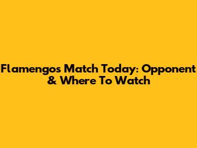 Flamengo's Match Today: Opponent & Where To Watch