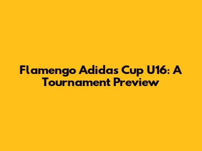 Flamengo Adidas Cup U16: A Tournament Preview