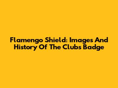 Flamengo Shield: Images And History Of The Club's Badge