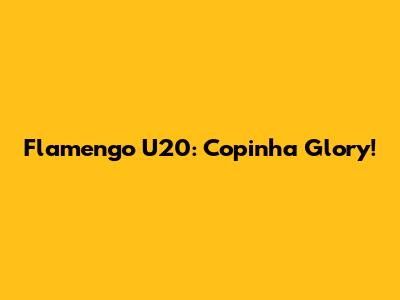 Flamengo U20: Copinha Glory!
