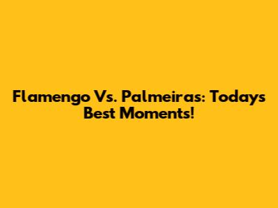 Flamengo Vs. Palmeiras: Today's Best Moments!