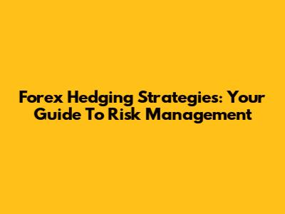 Forex Hedging Strategies: Your Guide To Risk Management