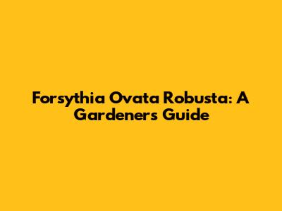 Forsythia Ovata Robusta: A Gardener's Guide