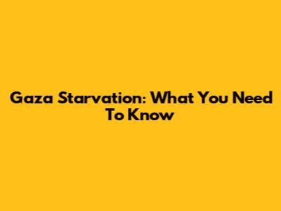 Gaza Starvation: What You Need To Know