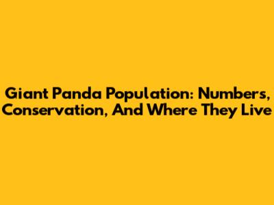 Giant Panda Population: Numbers, Conservation, And Where They Live