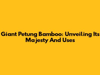 Giant Petung Bamboo: Unveiling Its Majesty And Uses