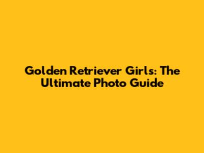 Golden Retriever Girls: The Ultimate Photo Guide
