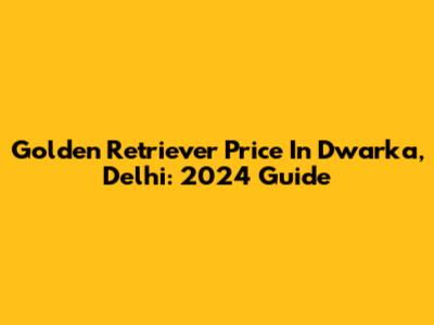 Golden Retriever Price In Dwarka, Delhi: 2024 Guide