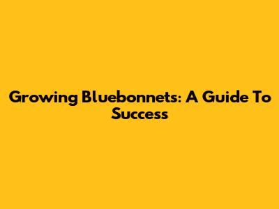Growing Bluebonnets: A Guide To Success
