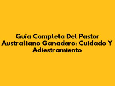 Guía Completa Del Pastor Australiano Ganadero: Cuidado Y Adiestramiento