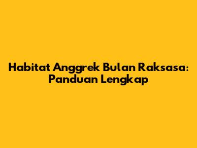 Habitat Anggrek Bulan Raksasa: Panduan Lengkap
