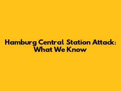 Hamburg Central Station Attack: What We Know