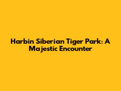 Harbin Siberian Tiger Park: A Majestic Encounter