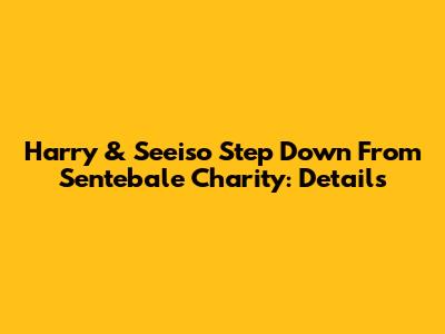 Harry & Seeiso Step Down From Sentebale Charity: Details