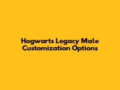 Hogwarts Legacy Male Customization Options