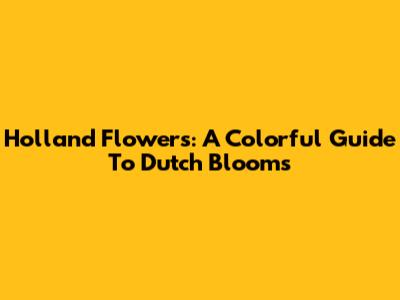 Holland Flowers: A Colorful Guide To Dutch Blooms