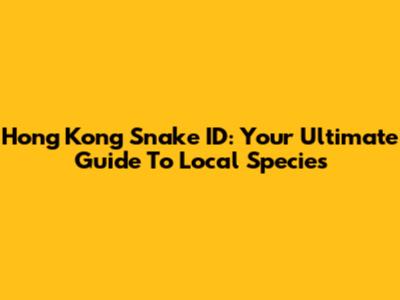 Hong Kong Snake ID: Your Ultimate Guide To Local Species