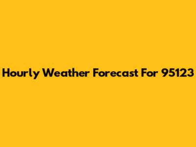 Hourly Weather Forecast For 95123