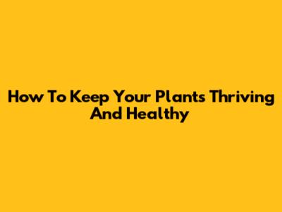 How To Keep Your Plants Thriving And Healthy