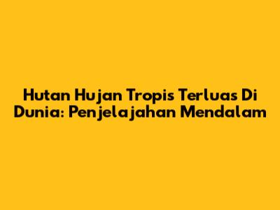 Hutan Hujan Tropis Terluas Di Dunia: Penjelajahan Mendalam