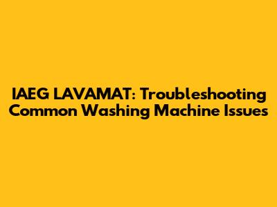 IAEG LAVAMAT: Troubleshooting Common Washing Machine Issues