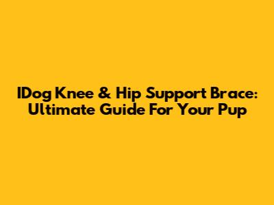 IDog Knee & Hip Support Brace: Ultimate Guide For Your Pup