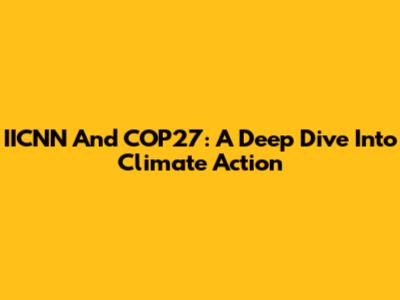 IICNN And COP27: A Deep Dive Into Climate Action