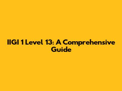 IIGI 1 Level 13: A Comprehensive Guide