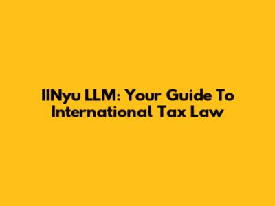IINyu LLM: Your Guide To International Tax Law