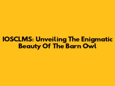 IOSCLMS: Unveiling The Enigmatic Beauty Of The Barn Owl