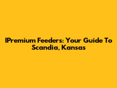 IPremium Feeders: Your Guide To Scandia, Kansas