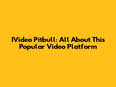 IVideo Pitbull: All About This Popular Video Platform